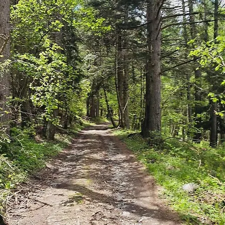 Casa Belvedere Gravere